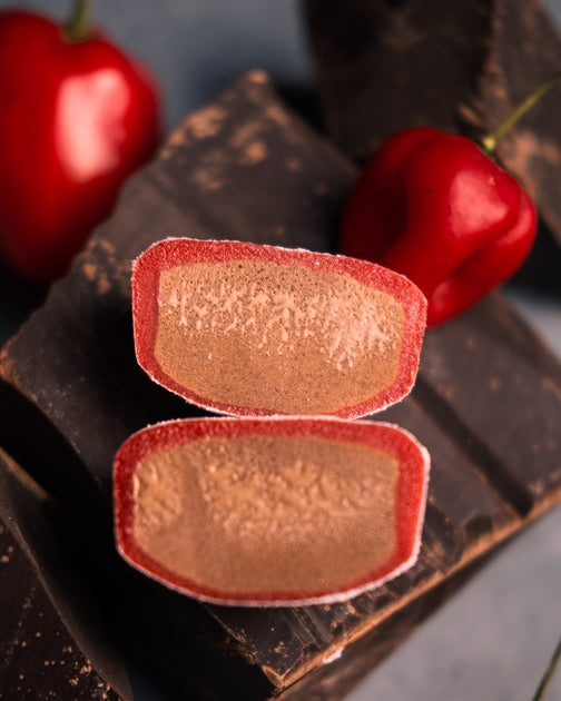 Respect the Flavors Habanero Chocolate Mochidoki The Premium Mochi